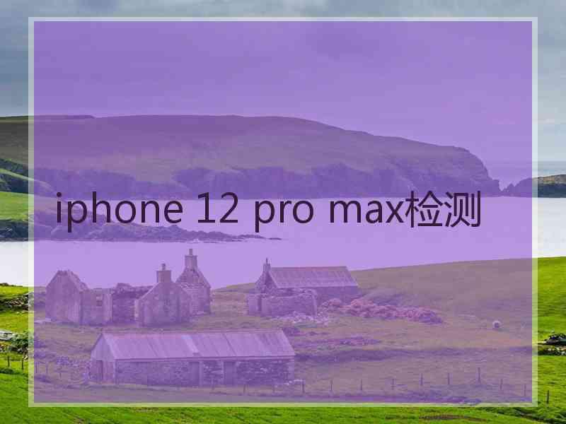 iphone 12 pro max检测