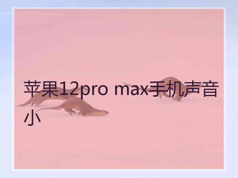 苹果12pro max手机声音小