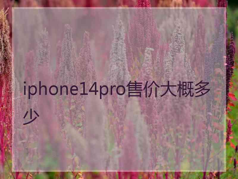 iphone14pro售价大概多少