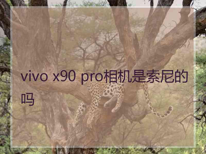 vivo x90 pro相机是索尼的吗