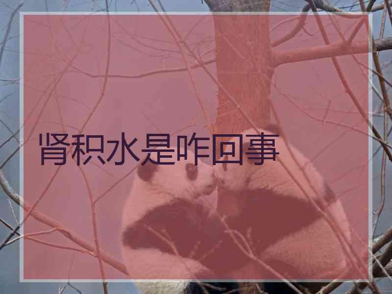 肾积水是咋回事