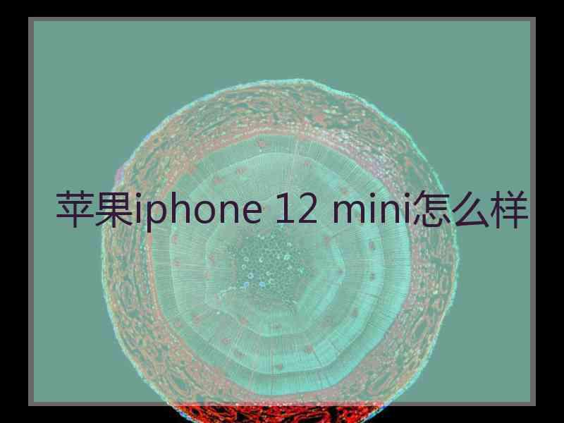 苹果iphone 12 mini怎么样