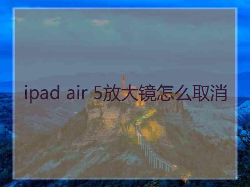 ipad air 5放大镜怎么取消