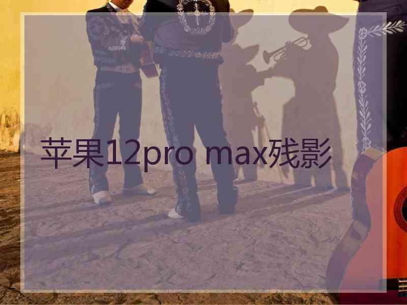 苹果12pro max残影