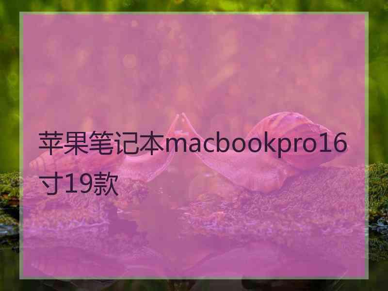 苹果笔记本macbookpro16寸19款