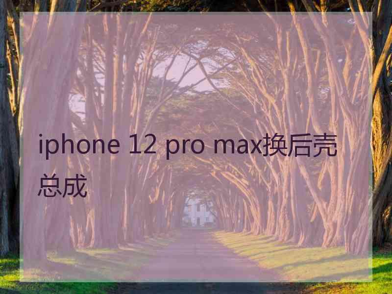 iphone 12 pro max换后壳总成