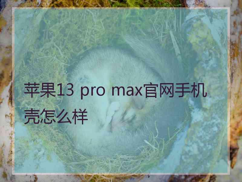 苹果13 pro max官网手机壳怎么样