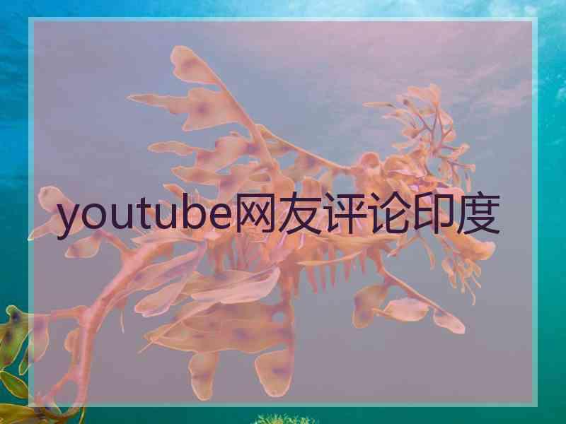 youtube网友评论印度