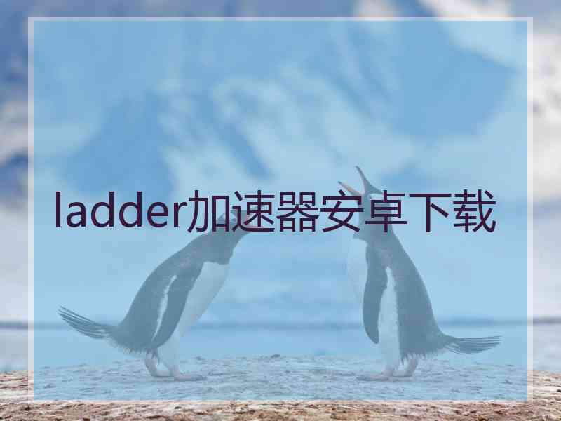 ladder加速器安卓下载