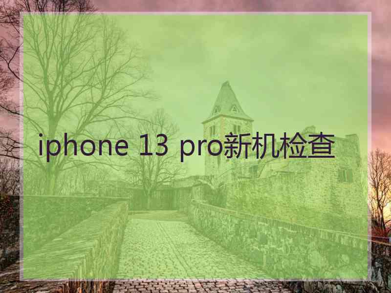 iphone 13 pro新机检查