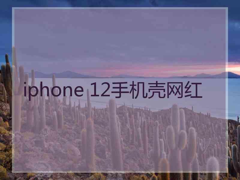 iphone 12手机壳网红