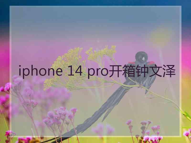 iphone 14 pro开箱钟文泽