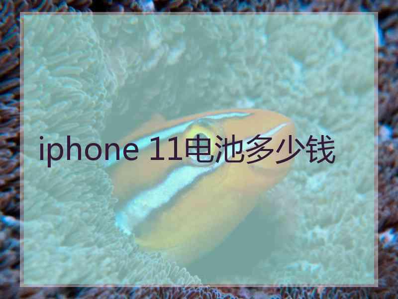 iphone 11电池多少钱