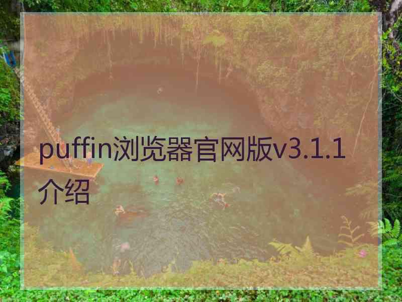 puffin浏览器官网版v3.1.1介绍