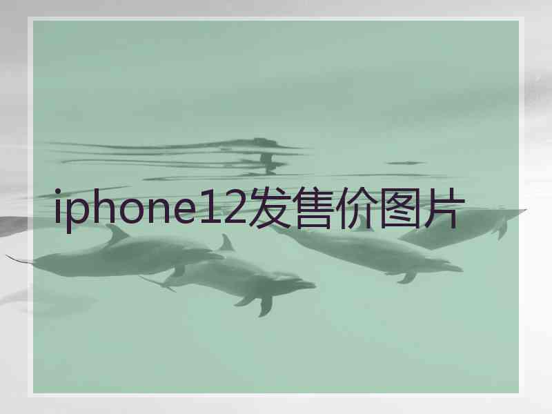 iphone12发售价图片