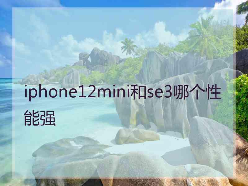 iphone12mini和se3哪个性能强