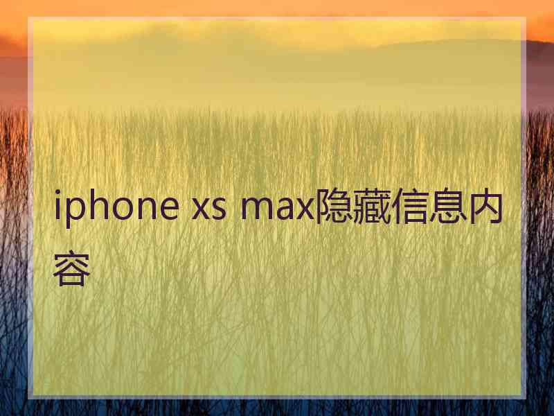 iphone xs max隐藏信息内容