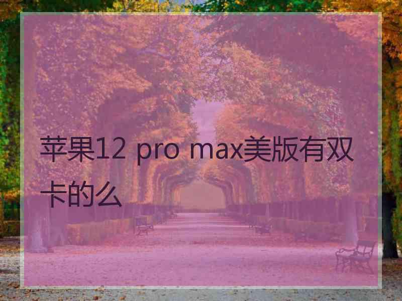 苹果12 pro max美版有双卡的么