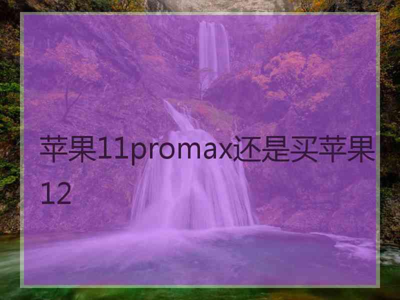 苹果11promax还是买苹果12