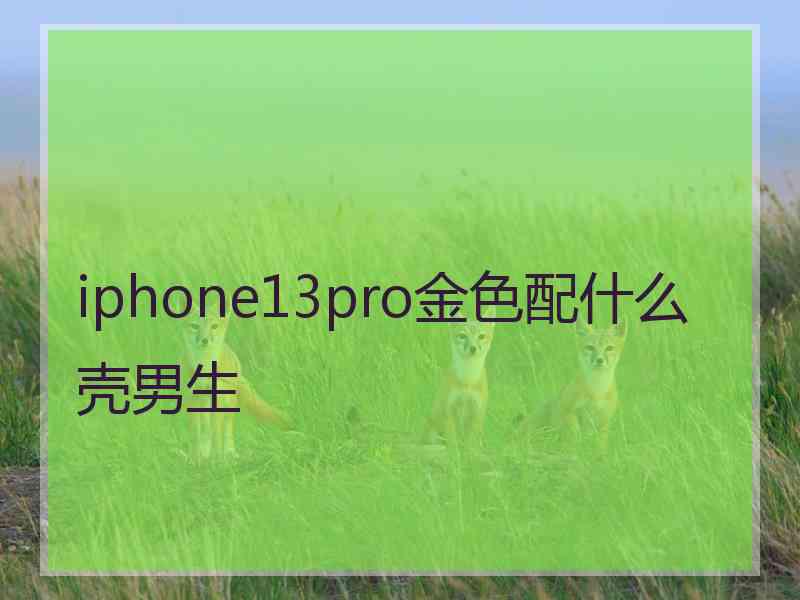 iphone13pro金色配什么壳男生