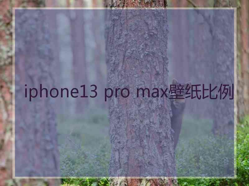 iphone13 pro max壁纸比例