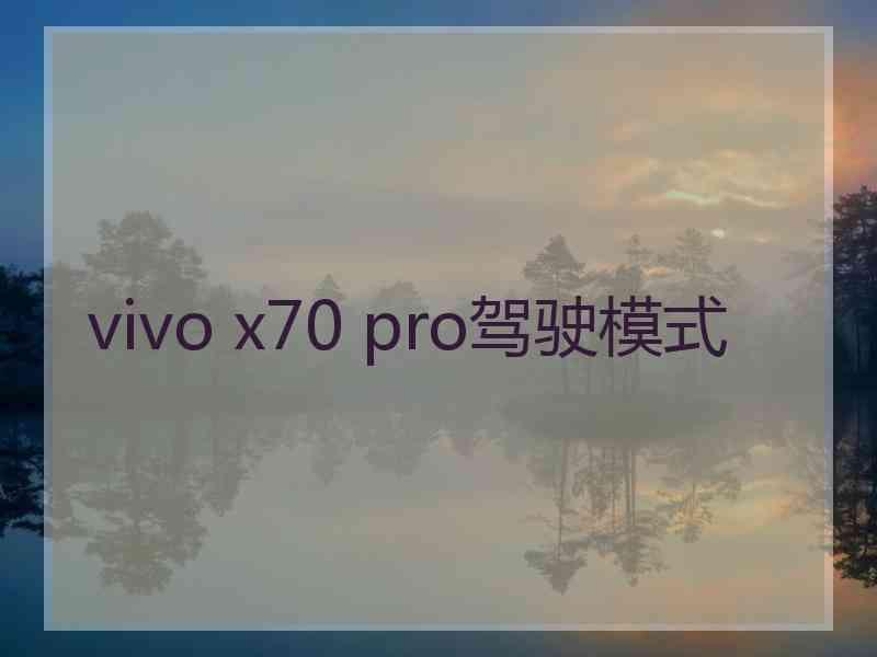 vivo x70 pro驾驶模式