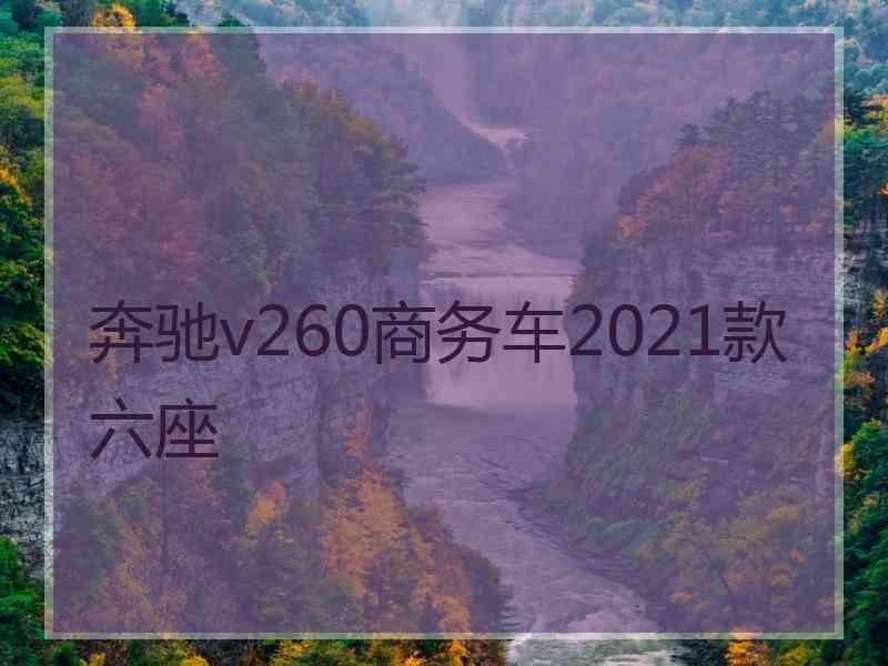 奔驰v260商务车2021款六座