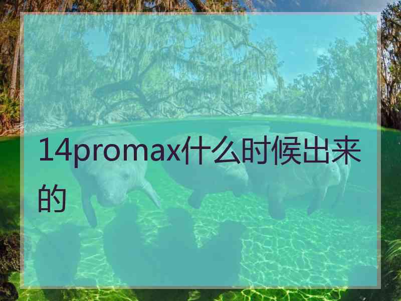 14promax什么时候出来的