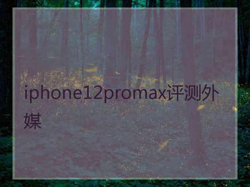 iphone12promax评测外媒