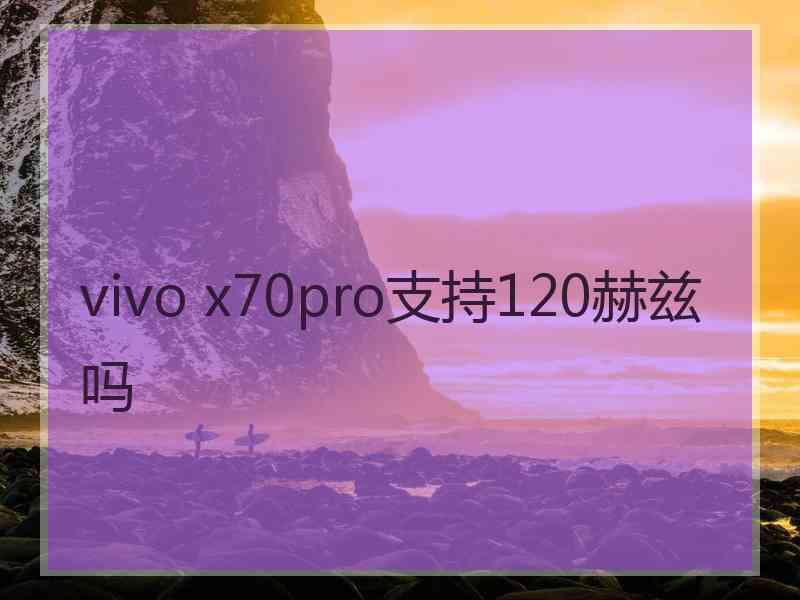 vivo x70pro支持120赫兹吗