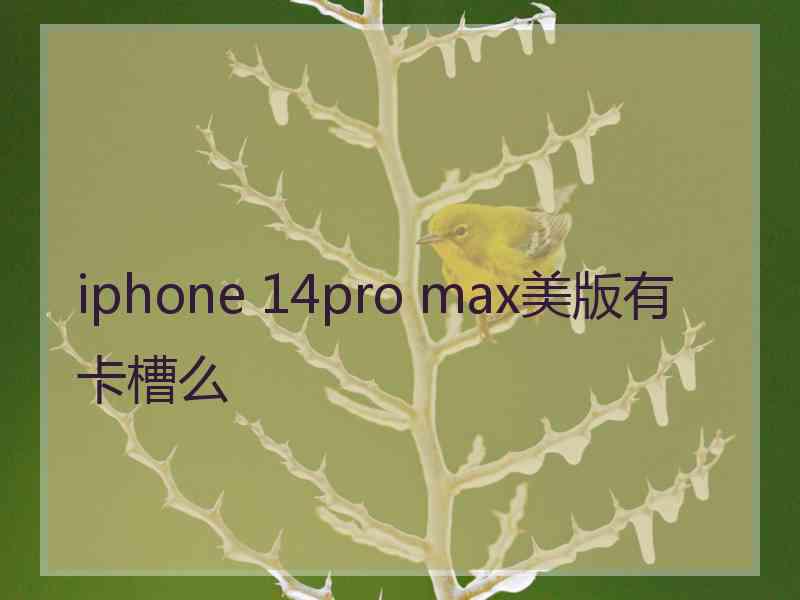 iphone 14pro max美版有卡槽么