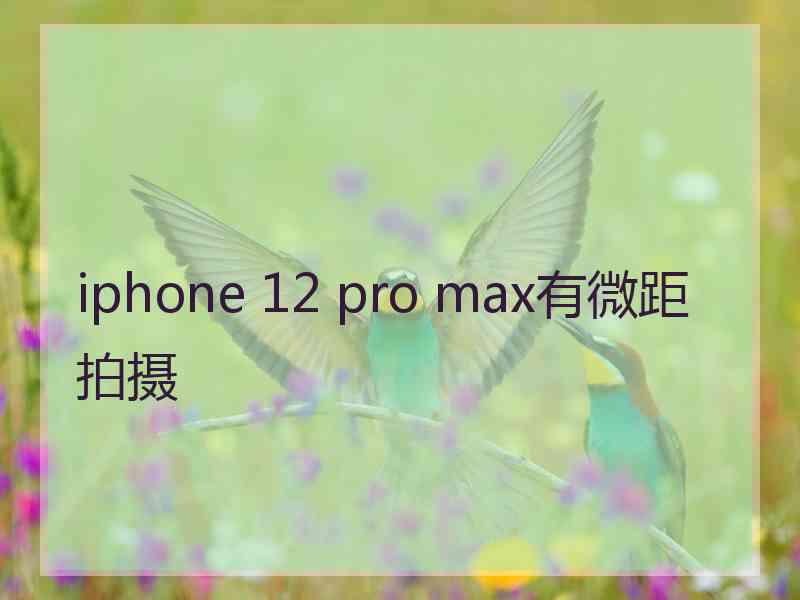 iphone 12 pro max有微距拍摄