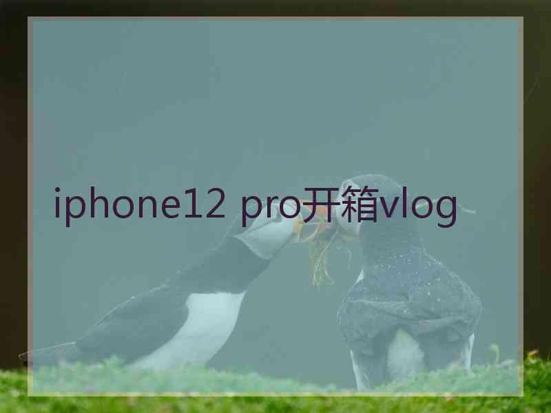 iphone12 pro开箱vlog