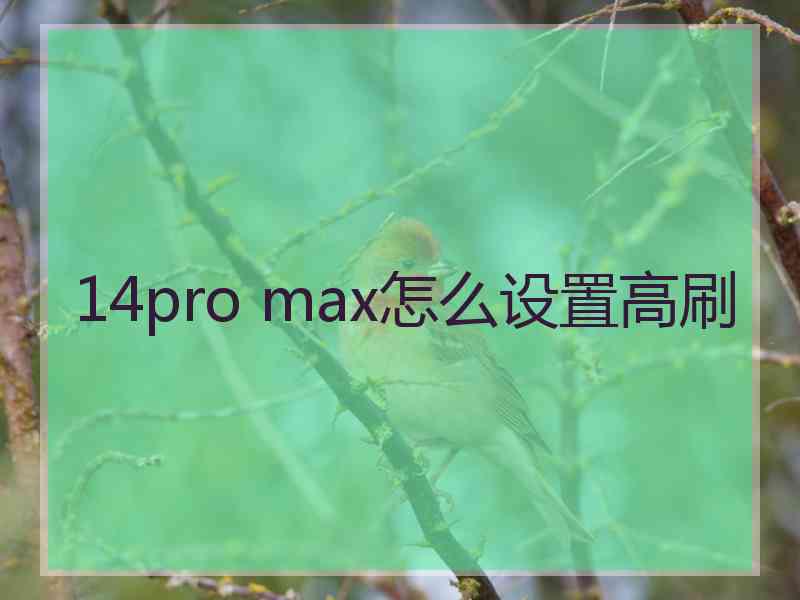 14pro max怎么设置高刷