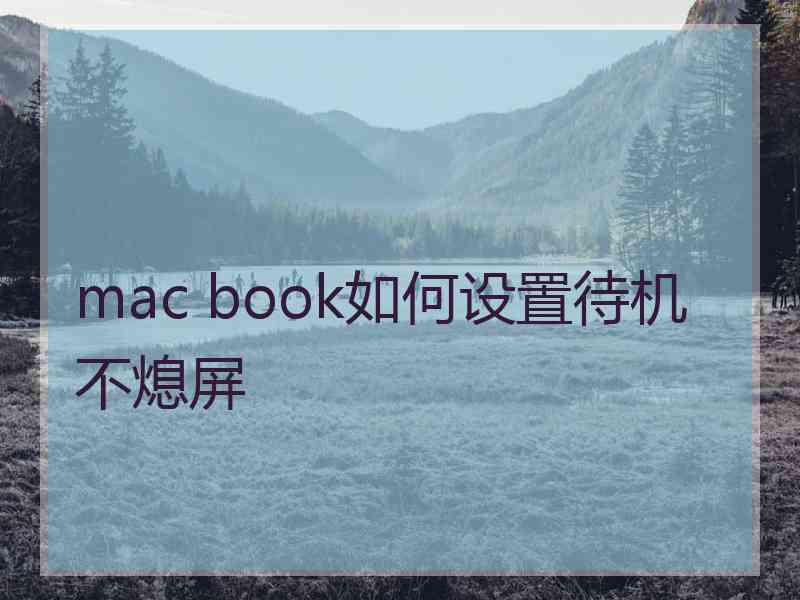 mac book如何设置待机不熄屏