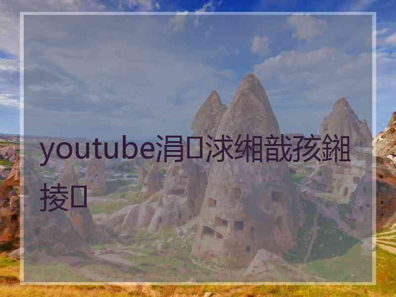 youtube涓浗缃戠孩鎺掕