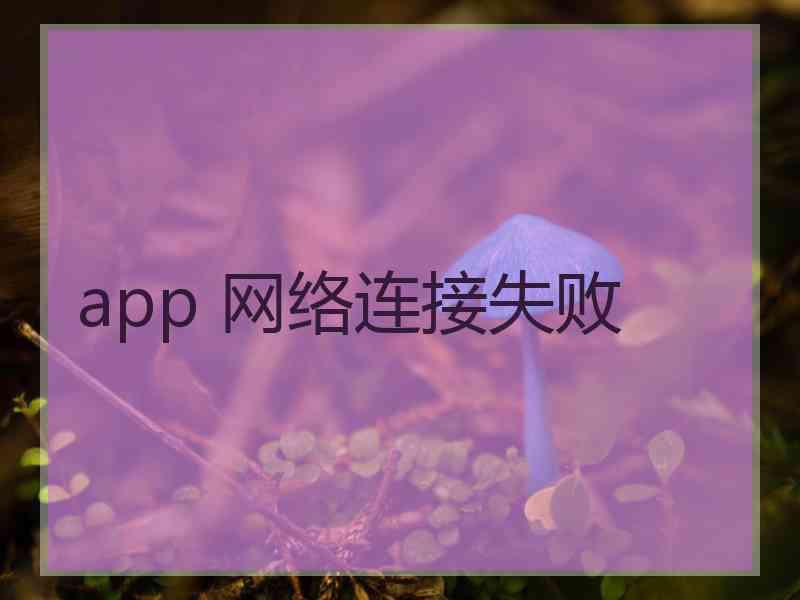 app 网络连接失败