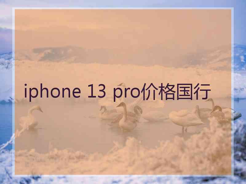 iphone 13 pro价格国行