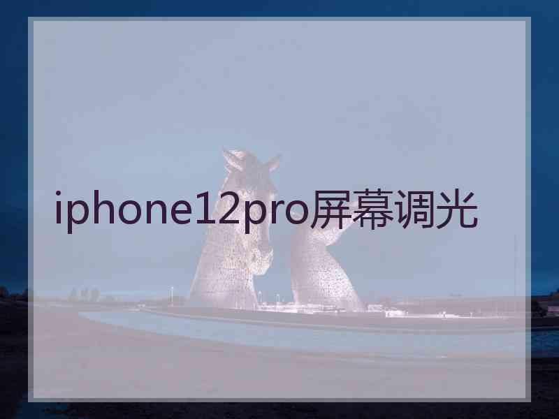 iphone12pro屏幕调光