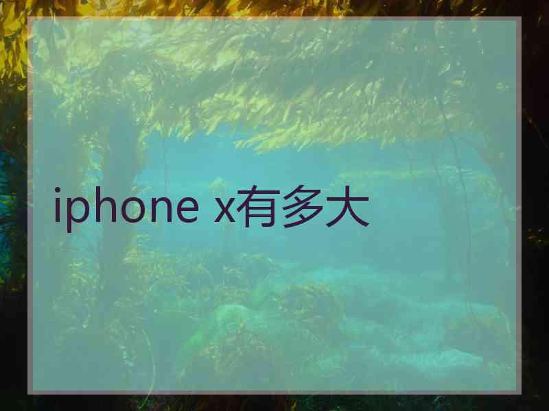 iphone x有多大