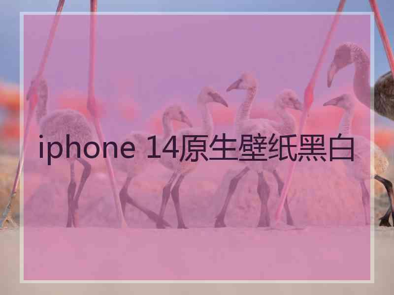 iphone 14原生壁纸黑白