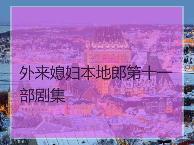 外来媳妇本地郎第十一部剧集