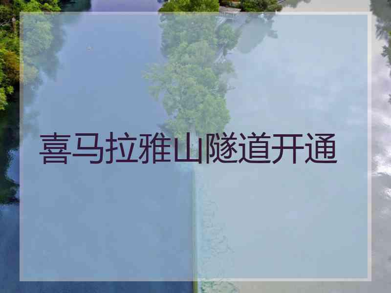 喜马拉雅山隧道开通