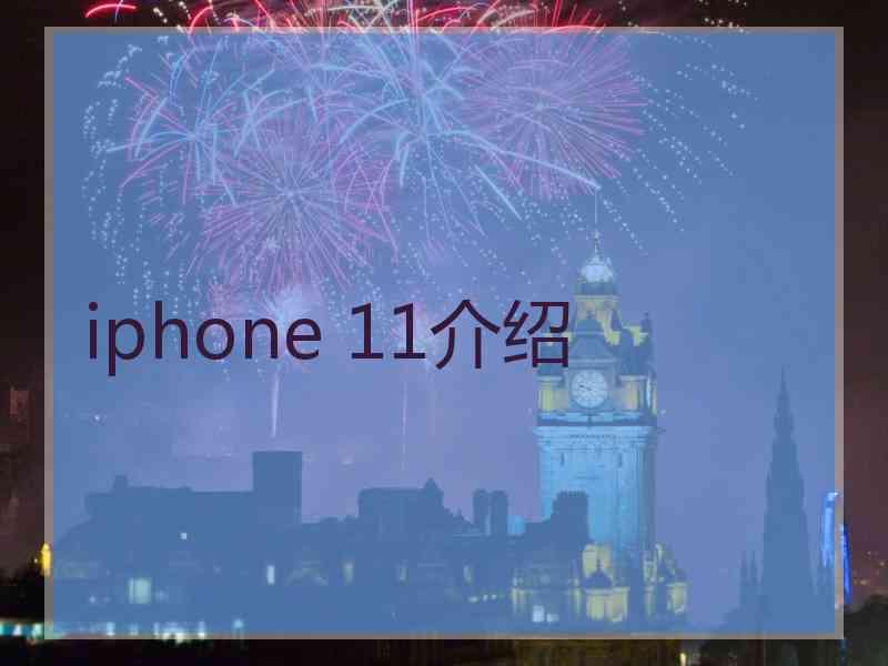 iphone 11介绍