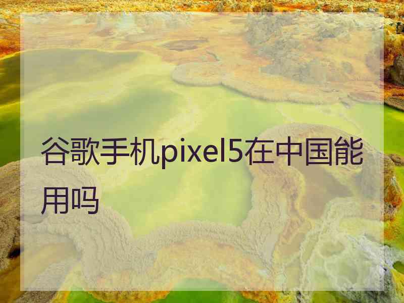 谷歌手机pixel5在中国能用吗