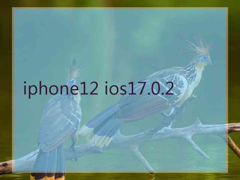 iphone12 ios17.0.2