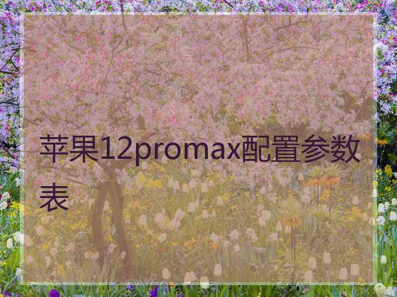 苹果12promax配置参数表