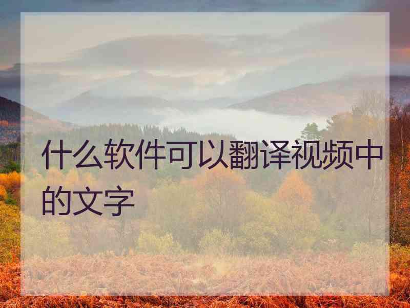 什么软件可以翻译视频中的文字