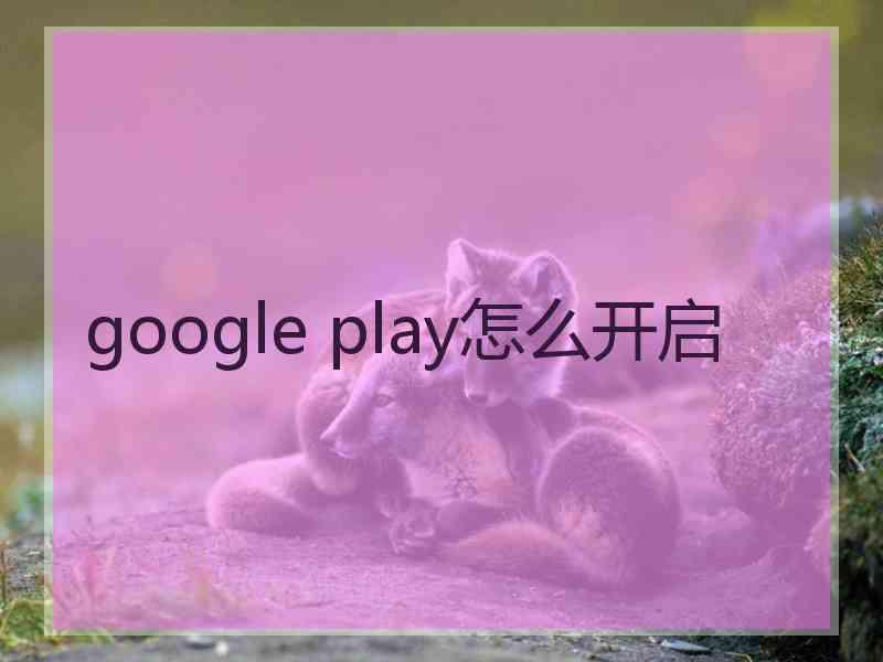 google play怎么开启