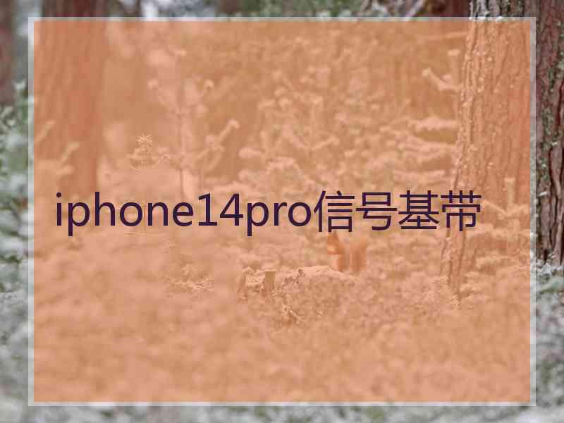 iphone14pro信号基带